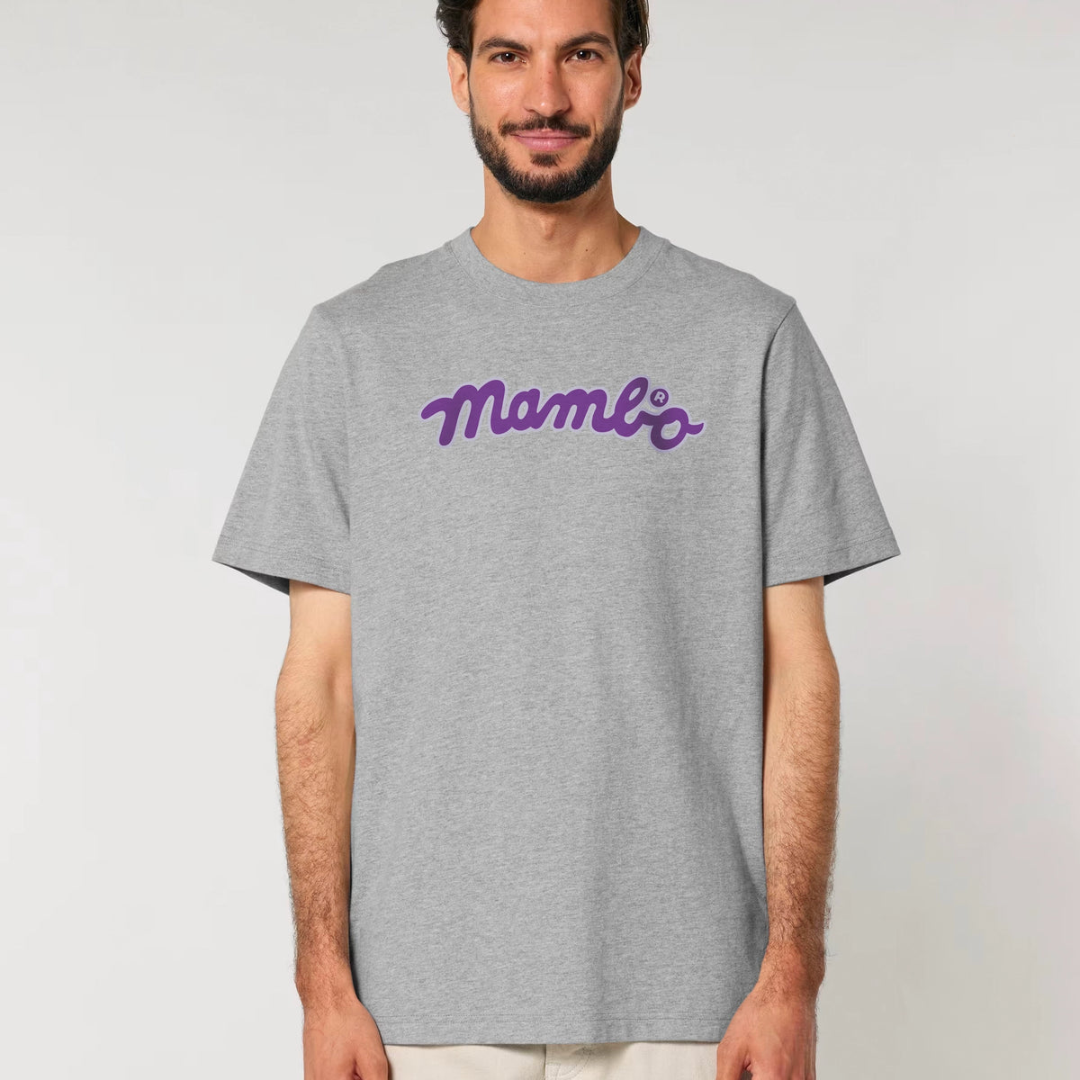 Flow Logo t-shirt in Heather Grey — model front
