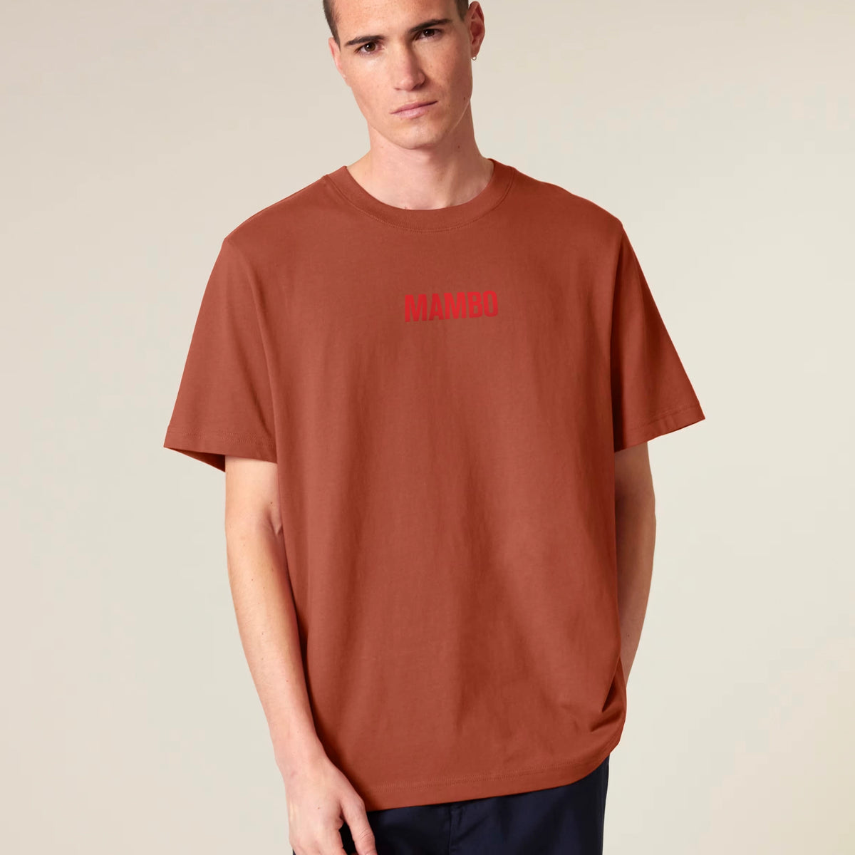 All Things Must Pass t-shirt in Heritage Brown — model front