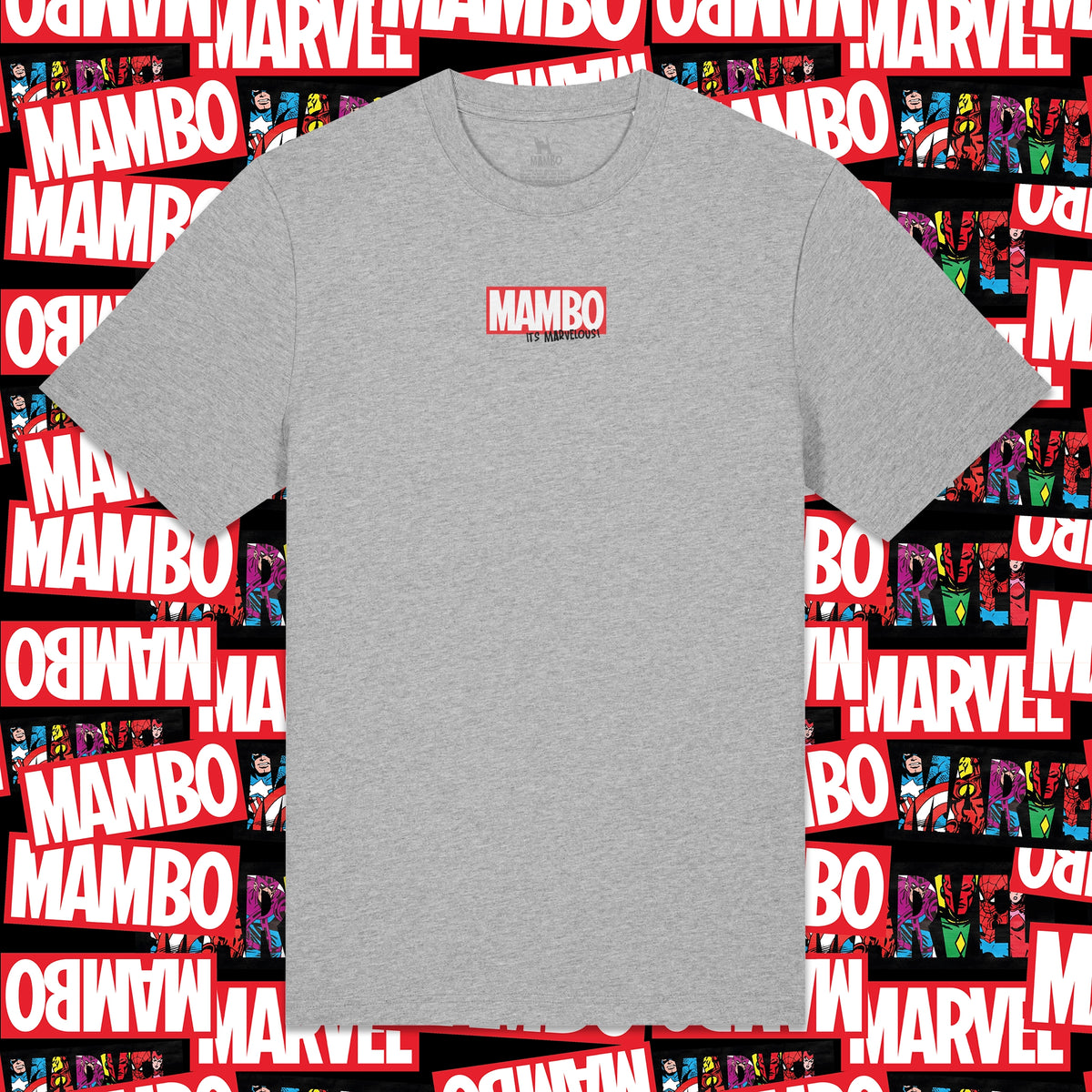 Marvelous t-shirt in Heather Grey — garment front
