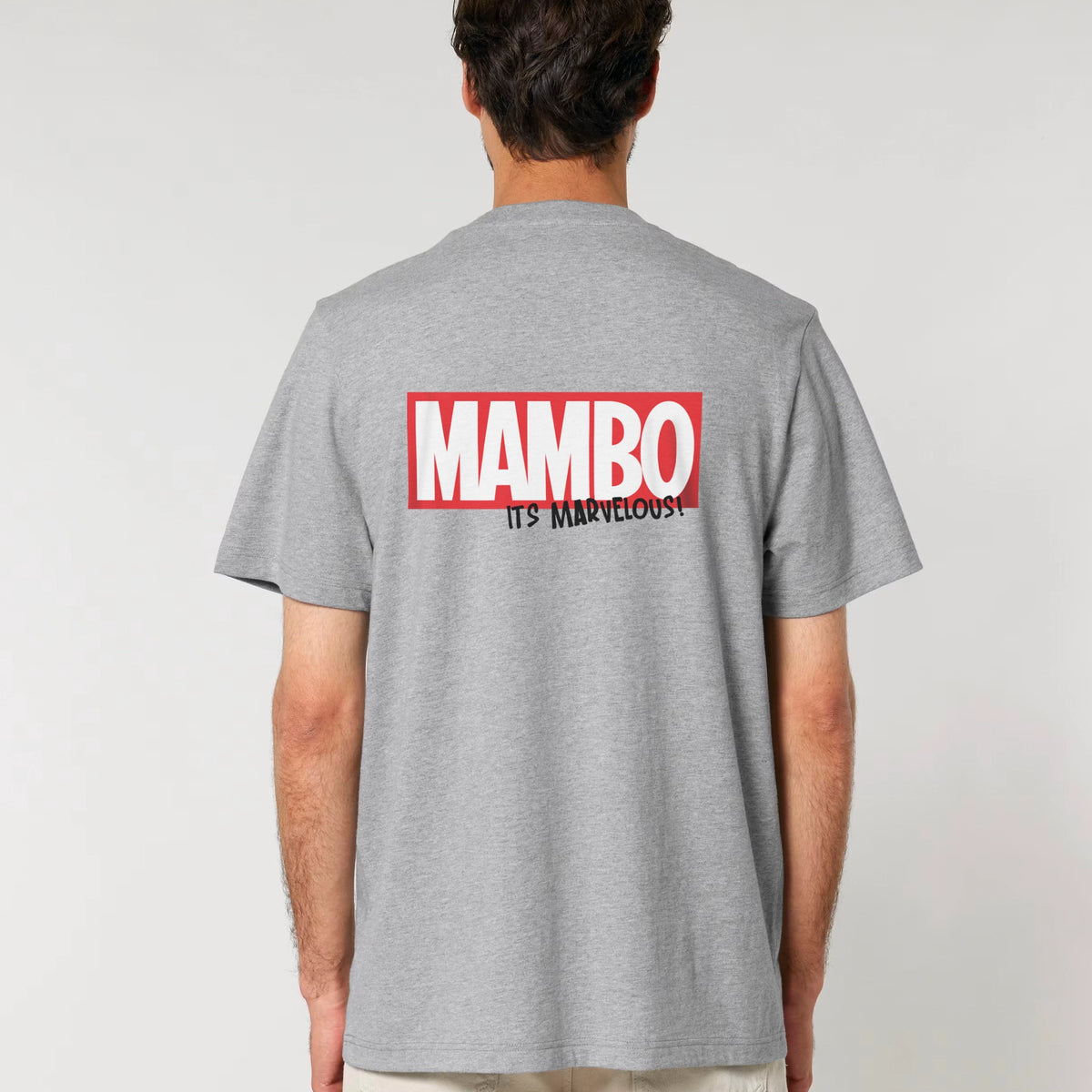 Marvelous t-shirt in Heather Grey — model back