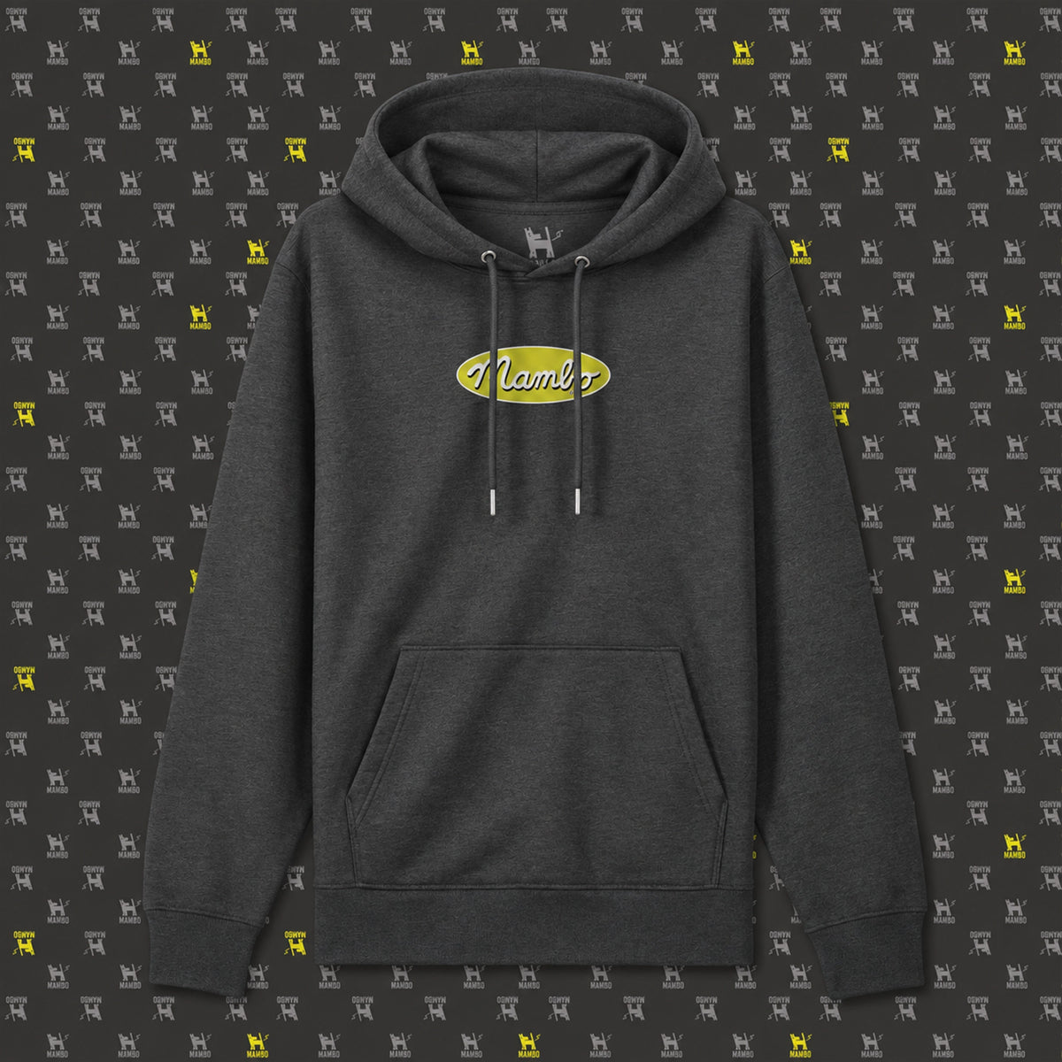 Core Logo hoodie in Dark Heather Grey — garment front
