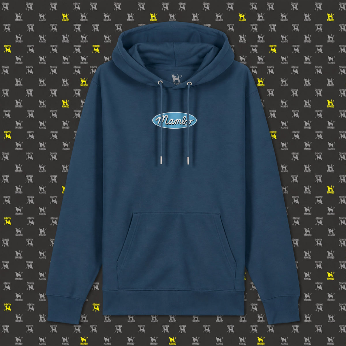 Core Logo hoodie in Deep Teal — garment front