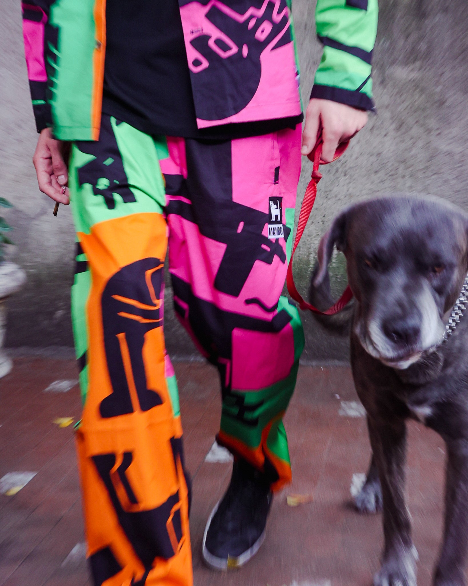 Big Dog Trouser - Neon Dog House