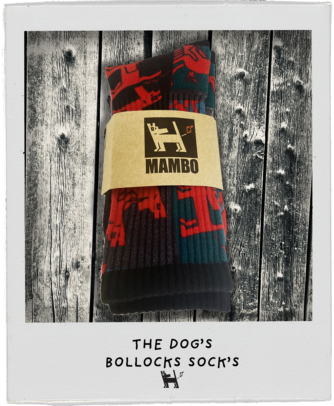 MAMBO SOCKS - THE DOGS BOLLOCKS -